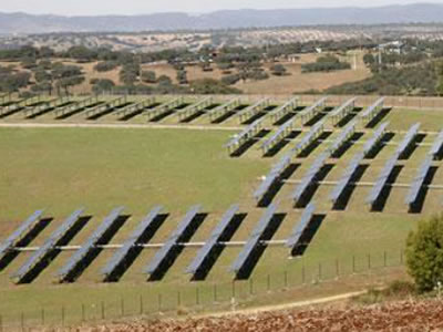 Solar field with fixed mounted modules